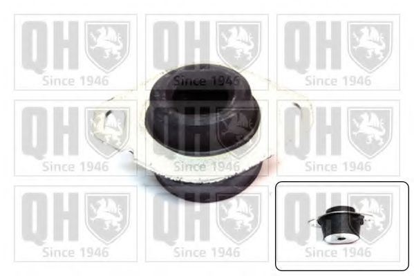 QUINTON HAZELL EM2013