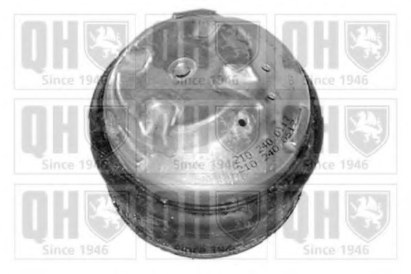 QUINTON HAZELL EM2477