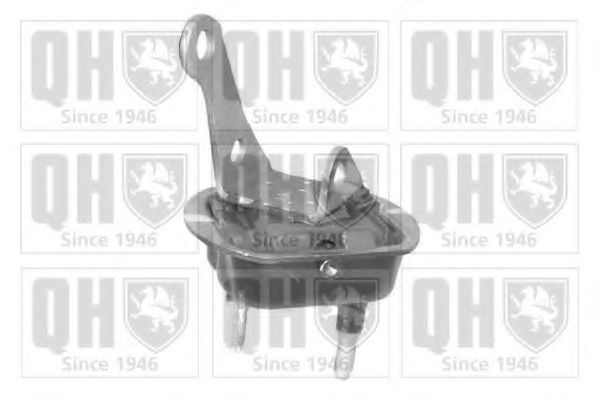 QUINTON HAZELL EM2517