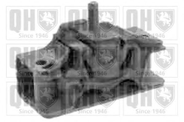 QUINTON HAZELL EM3116