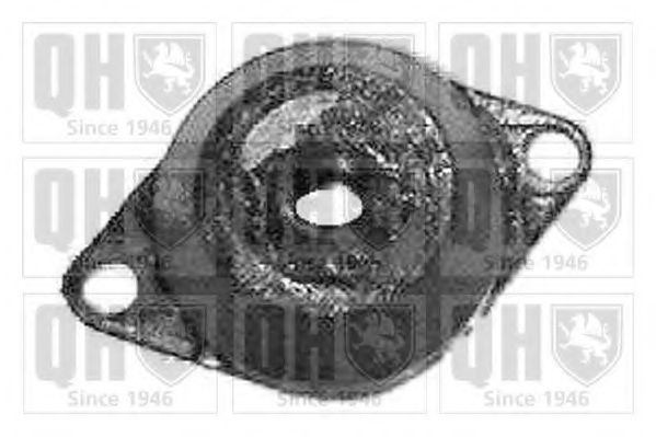 QUINTON HAZELL EM382