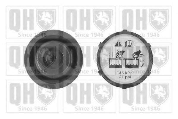 QUINTON HAZELL FC528