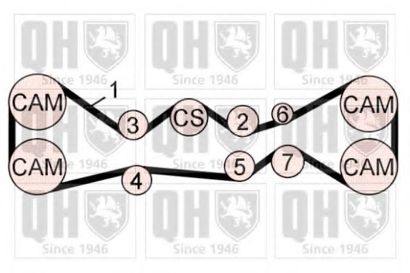 QUINTON HAZELL QBK772