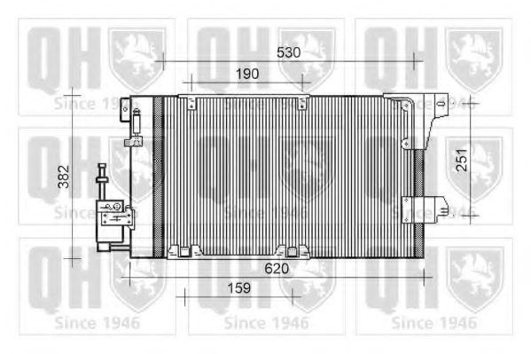 QUINTON HAZELL QCN119
