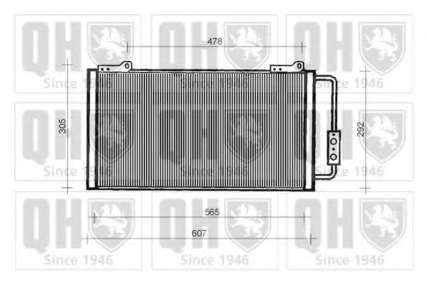 QUINTON HAZELL QCN125