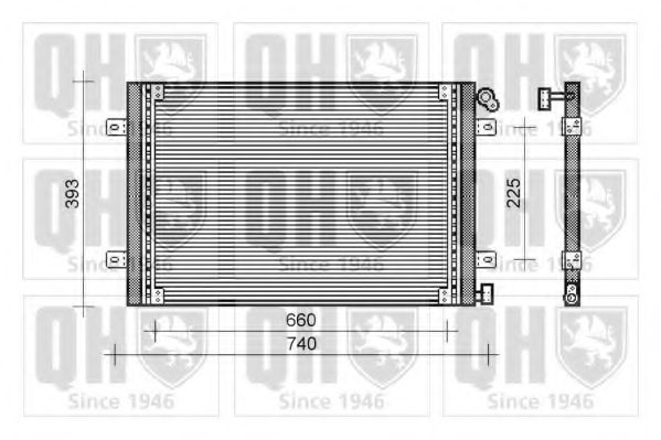 QUINTON HAZELL QCN325