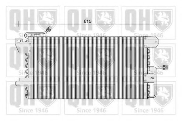 QUINTON HAZELL QCN362