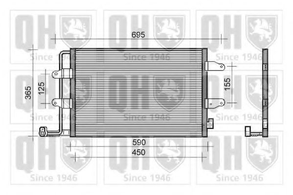 QUINTON HAZELL QCN483