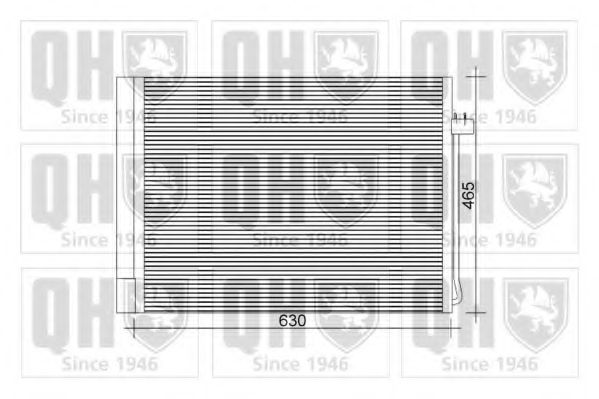 QUINTON HAZELL QCN553