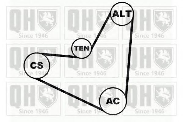 QUINTON HAZELL QDK21