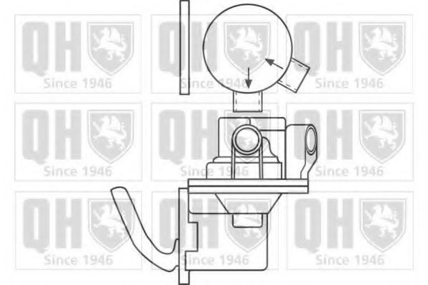 QUINTON HAZELL QFP118