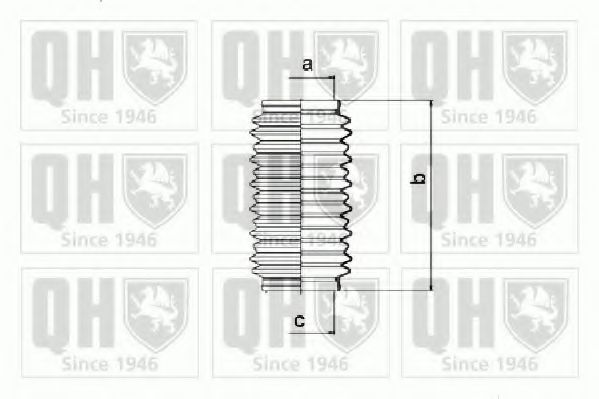 QUINTON HAZELL QG1186