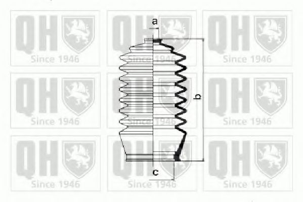 QUINTON HAZELL QG1254