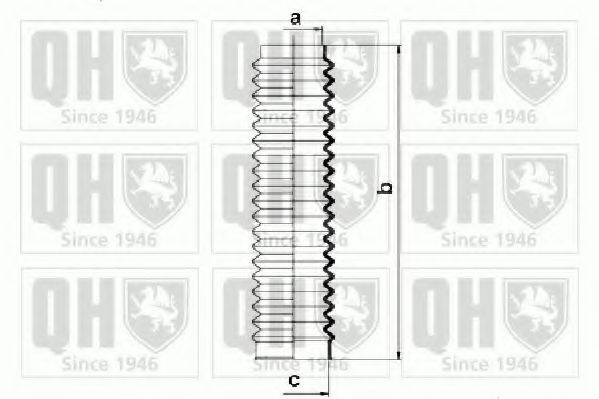 QUINTON HAZELL QG1338