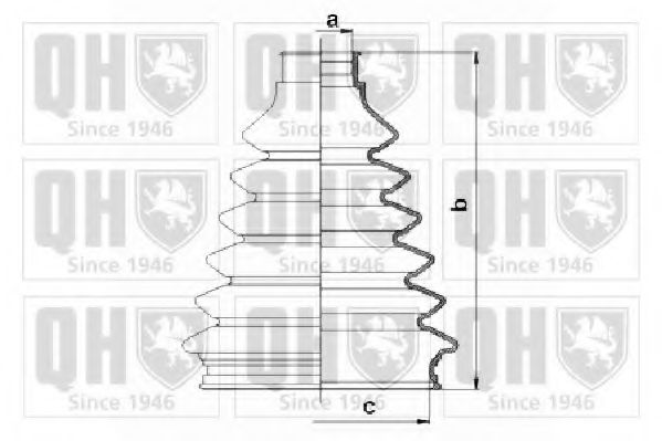 QUINTON HAZELL QJB1066