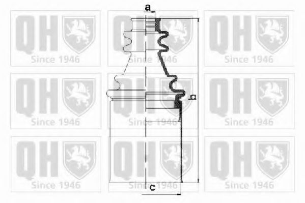 QUINTON HAZELL QJB1127