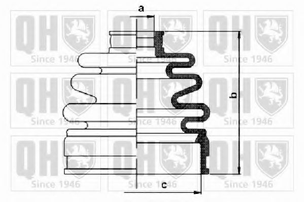 QUINTON HAZELL QJB1142