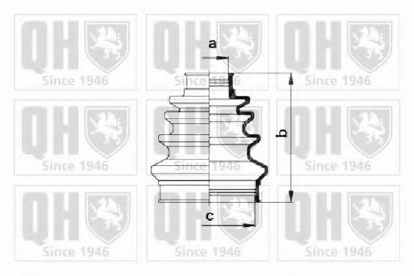 QUINTON HAZELL QJB174