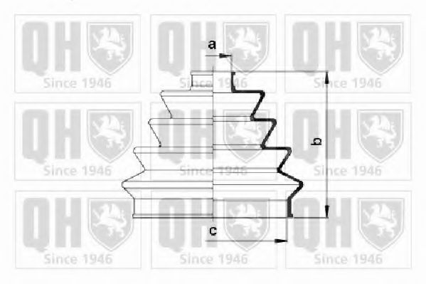 QUINTON HAZELL QJB2113