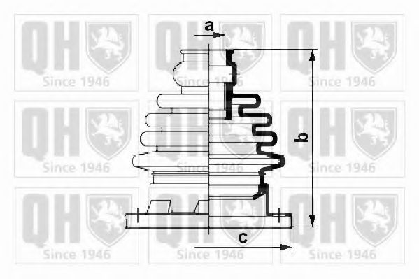 QUINTON HAZELL QJB216K