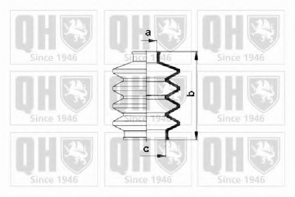 QUINTON HAZELL QJB2184