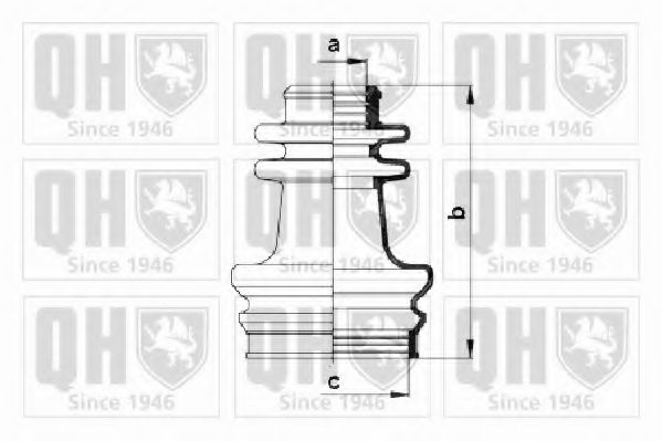 QUINTON HAZELL QJB255