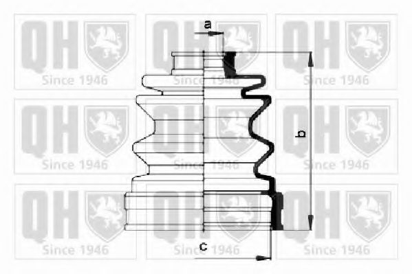 QUINTON HAZELL QJB279