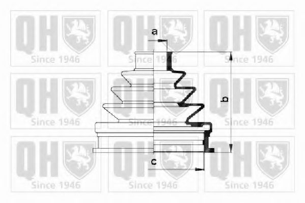 QUINTON HAZELL QJB571