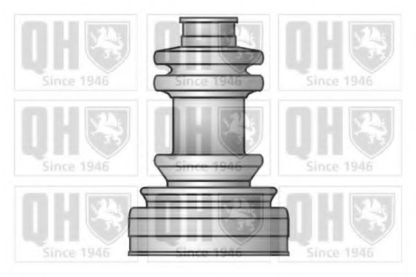 QUINTON HAZELL QJB582