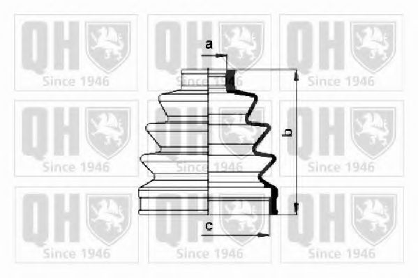 QUINTON HAZELL QJB620