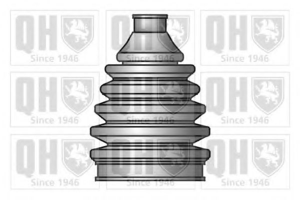 QUINTON HAZELL QJB738