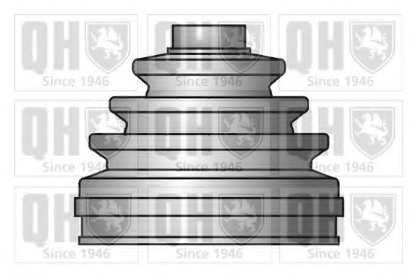 QUINTON HAZELL QJB744