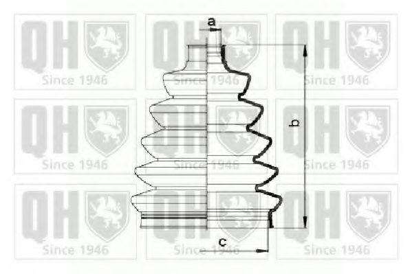 QUINTON HAZELL QJB868