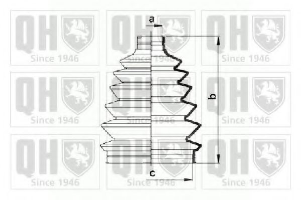 QUINTON HAZELL QJB902