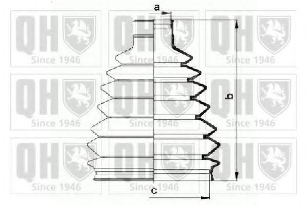 QUINTON HAZELL QJB908