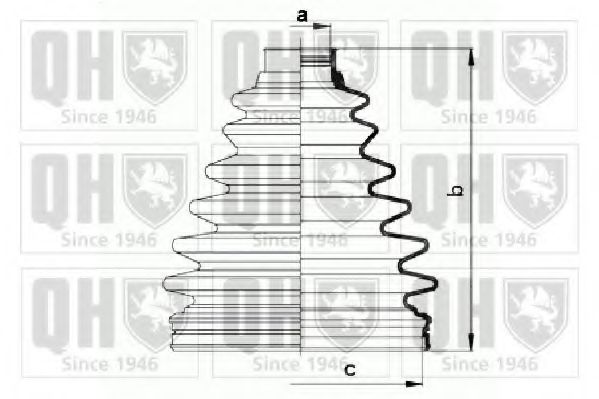 QUINTON HAZELL QJB929