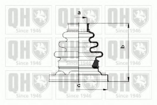 QUINTON HAZELL QJB948