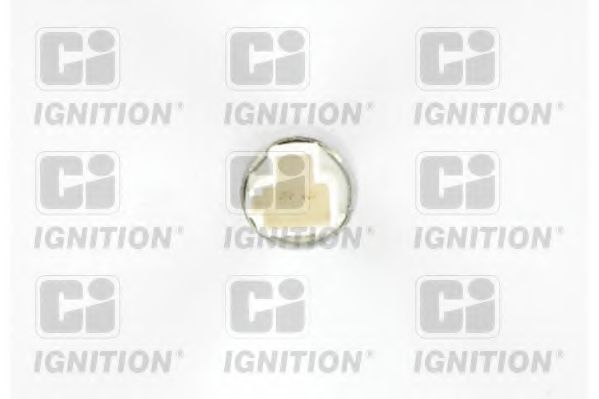 QUINTON HAZELL XBLS294