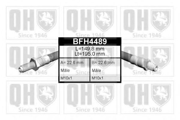 QUINTON HAZELL BFH4489