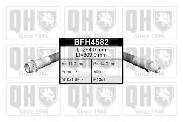 QUINTON HAZELL BFH4582