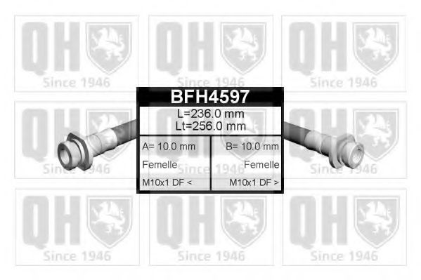 QUINTON HAZELL BFH4597