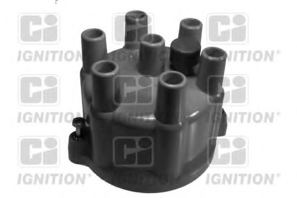 QUINTON HAZELL XD336