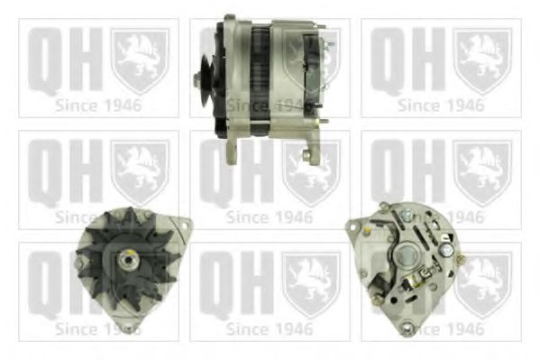 QUINTON HAZELL QRA1199