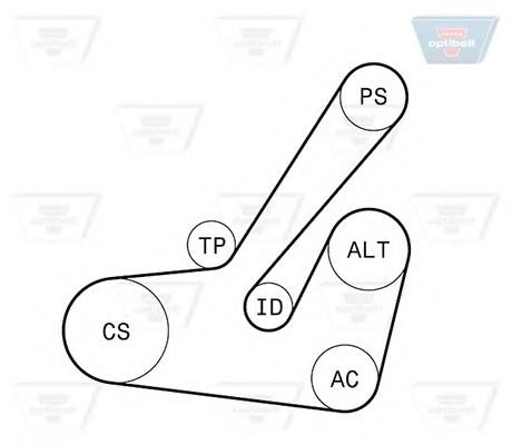 OPTIBELT 6 PK 1145KT1